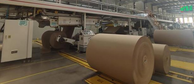 Corrugated Paper Roll Conveying and Packaging System